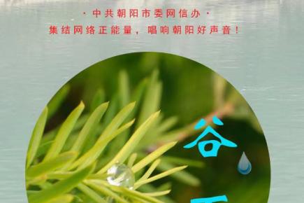 今日谷雨