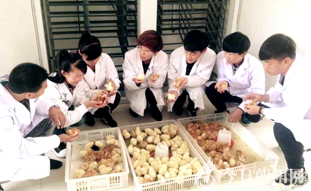 点击查看大图