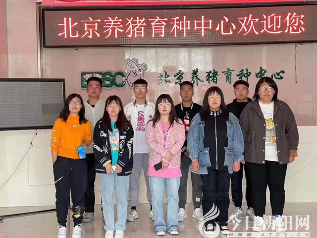 点击查看大图