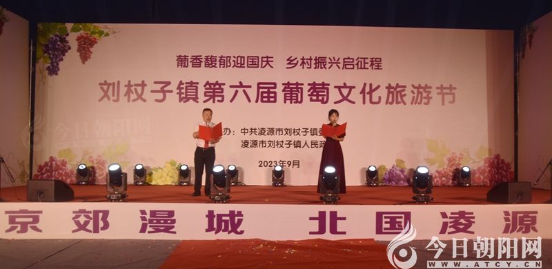 点击查看大图