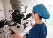 朝阳市中心医院应用“试管婴儿”技术成功移植两枚胚胎