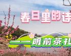 【春日里的诗篇】明前茶礼赞