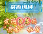 茶香缭绕 发现黄茶的“黄金 ” 秘密