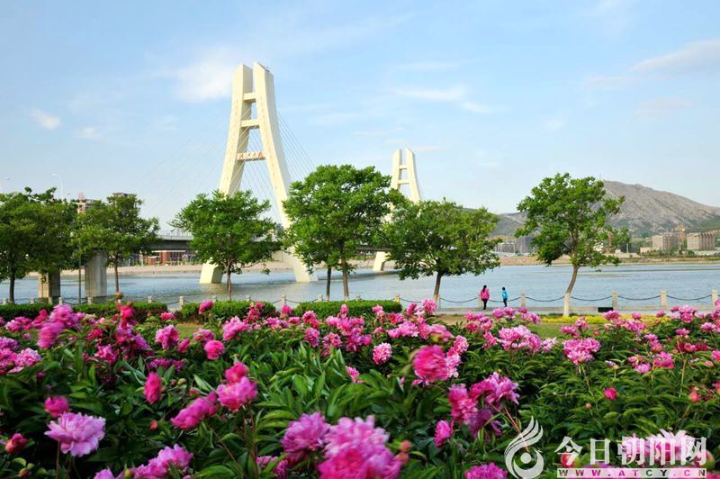 点击查看大图