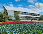 凤凰山·云麓/朝阳学府/金泰学府三期项目