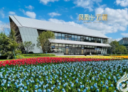 凤凰山·云麓/朝阳学府/金泰学府三期项目