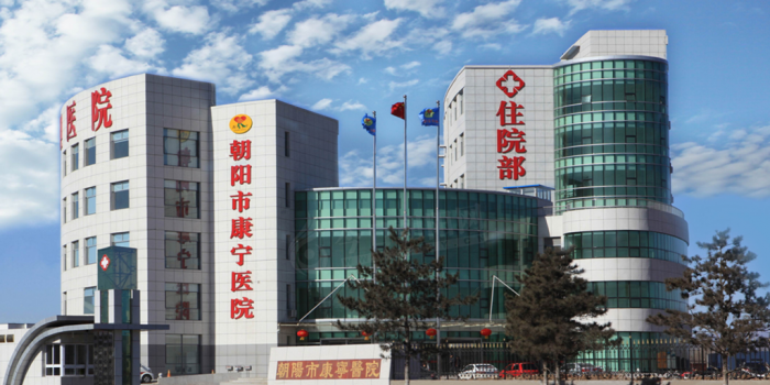 弘扬雷锋精神 践行医者仁心——朝阳市康宁医院开展“学雷锋月”系列活动侧记”