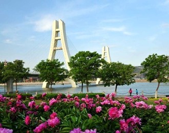 花开朝阳香溢远——辽宁朝阳以温情助力7000学子追逐梦想
