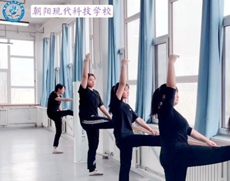 朝阳现代科技职业技术学校：灵动演绎 绽放青春（下）