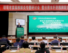 聚焦胰腺炎诊疗前沿 共筑区域医疗新高地——朝阳市首届胰腺...