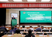 聚焦胰腺炎诊疗前沿 共筑区域医疗新高地——朝阳市首届胰腺炎专题研讨会暨日照市肝胆胰脾联盟文献学习圆满落幕