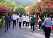 以脚步丈量山川 用团结铸就不凡—朝阳市中心医院凤凰山登山活动圆满落幕