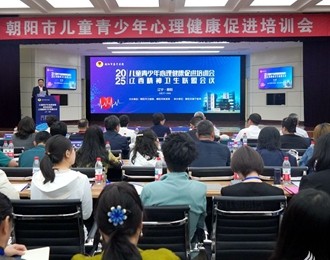 医校联动，共筑儿童青少年心灵港湾——朝阳市儿童青少年心理健康促进培训会圆满落幕